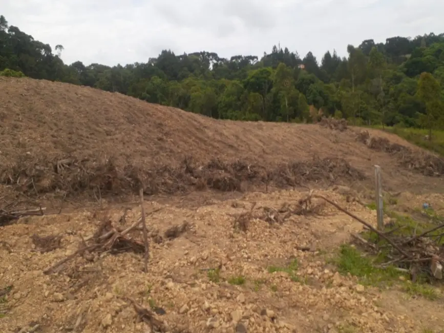 Foto 3 de Chácara com 4 quartos à venda, 62000m2 em Lapa - PR