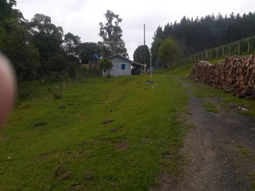 Foto 7 de Chácara com 4 quartos à venda, 62000m2 em Lapa - PR