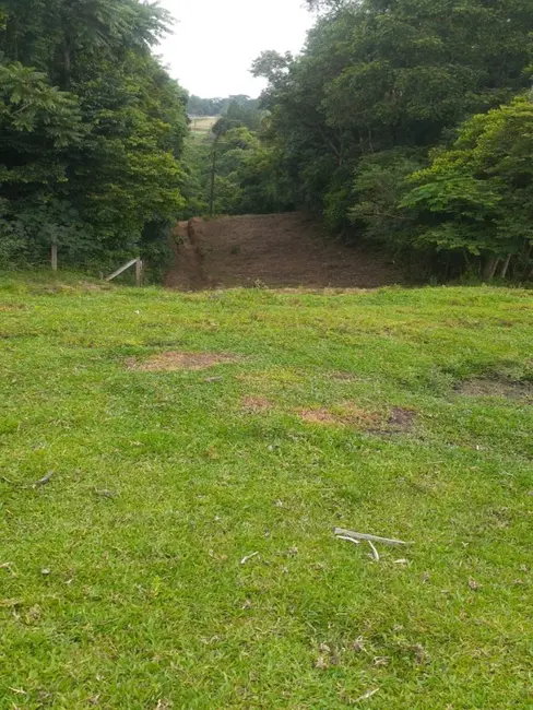 Foto 5 de Chácara com 4 quartos à venda, 62000m2 em Lapa - PR