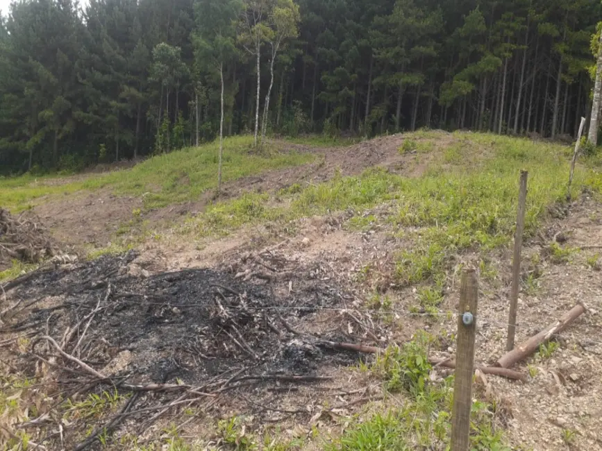 Foto 8 de Chácara com 4 quartos à venda, 62000m2 em Lapa - PR