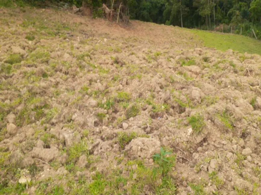 Foto 2 de Chácara com 4 quartos à venda, 62000m2 em Lapa - PR