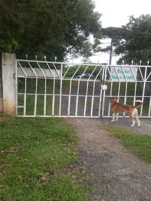 Foto 9 de Chácara com 4 quartos à venda, 62000m2 em Lapa - PR