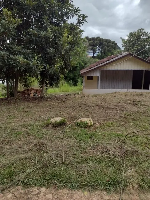 Foto 1 de Chácara com 3 quartos à venda, 7000m2 em Mandirituba - PR
