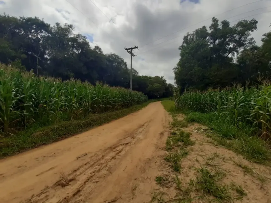 Chácara com 1 quarto à venda, 60000m2 em Contenda - PR - imagem 7 Foto 7 de Chácara com 1 quarto à venda, 60000m2 em Contenda - PR