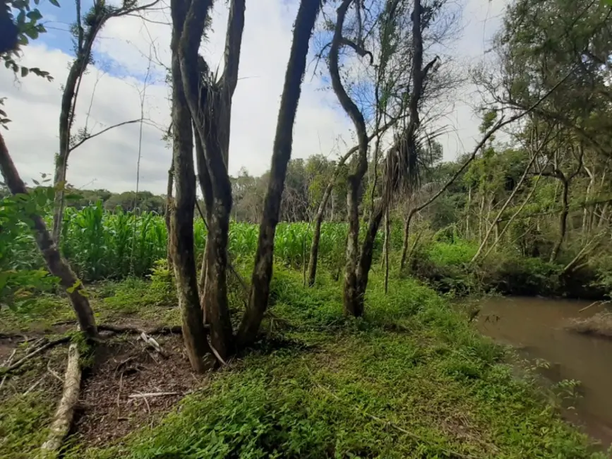 Chácara com 1 quarto à venda, 60000m2 em Contenda - PR - imagem 3 Foto 3 de Chácara com 1 quarto à venda, 60000m2 em Contenda - PR