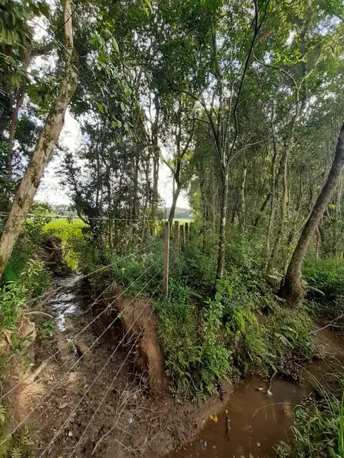Chácara com 1 quarto à venda, 60000m2 em Contenda - PR - imagem 4 Foto 4 de Chácara com 1 quarto à venda, 60000m2 em Contenda - PR