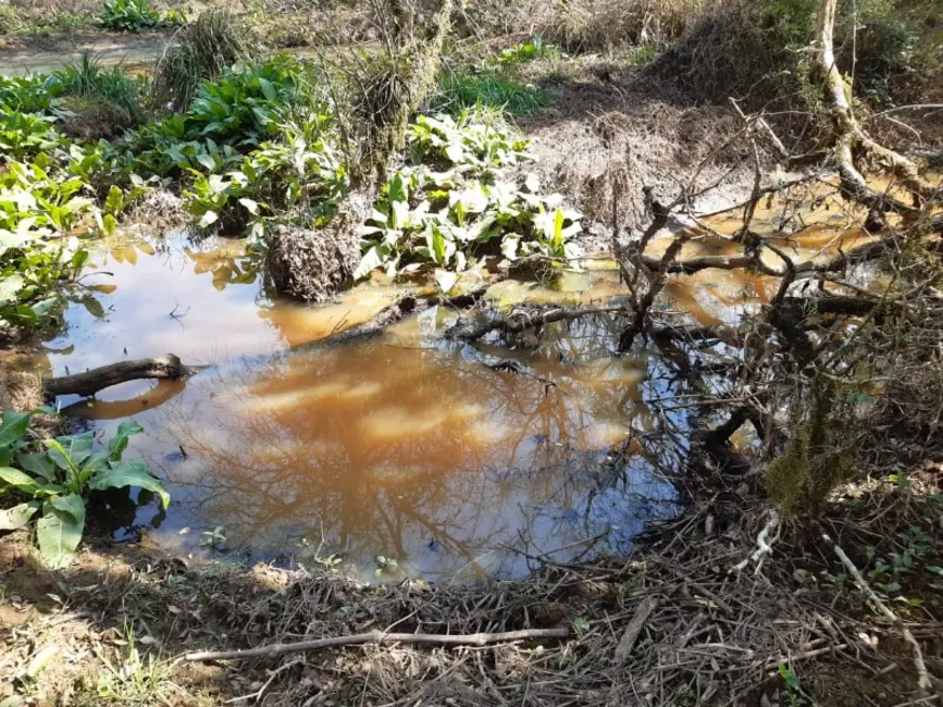 Chácara com 3 quartos à venda, 6000m2 em Contenda - PR - imagem 5 Foto 5 de Chácara com 3 quartos à venda, 6000m2 em Contenda - PR