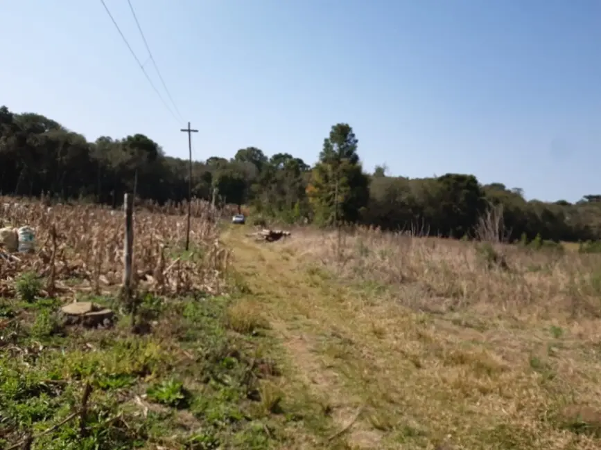 Chácara com 3 quartos à venda, 6000m2 em Contenda - PR - imagem 3 Foto 3 de Chácara com 3 quartos à venda, 6000m2 em Contenda - PR