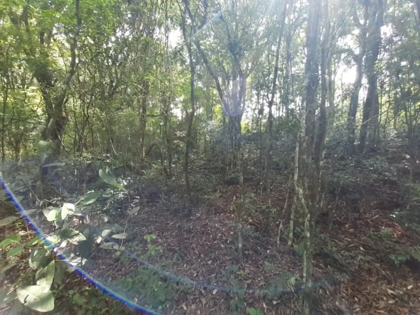 Chácara com 1 quarto à venda, 7000m2 em Contenda - PR - imagem 5 Foto 5 de Chácara com 1 quarto à venda, 7000m2 em Contenda - PR