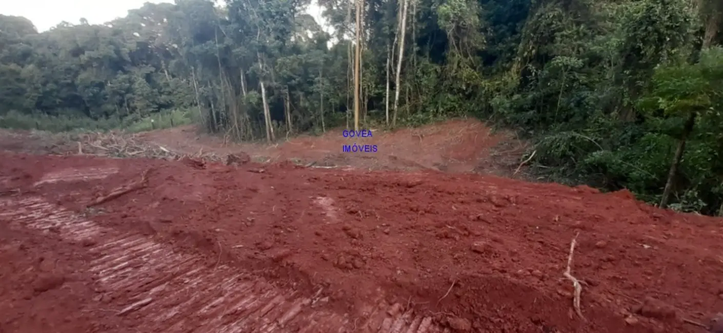 Foto 1 de Chácara com 1 quarto à venda, 7000m2 em Contenda - PR