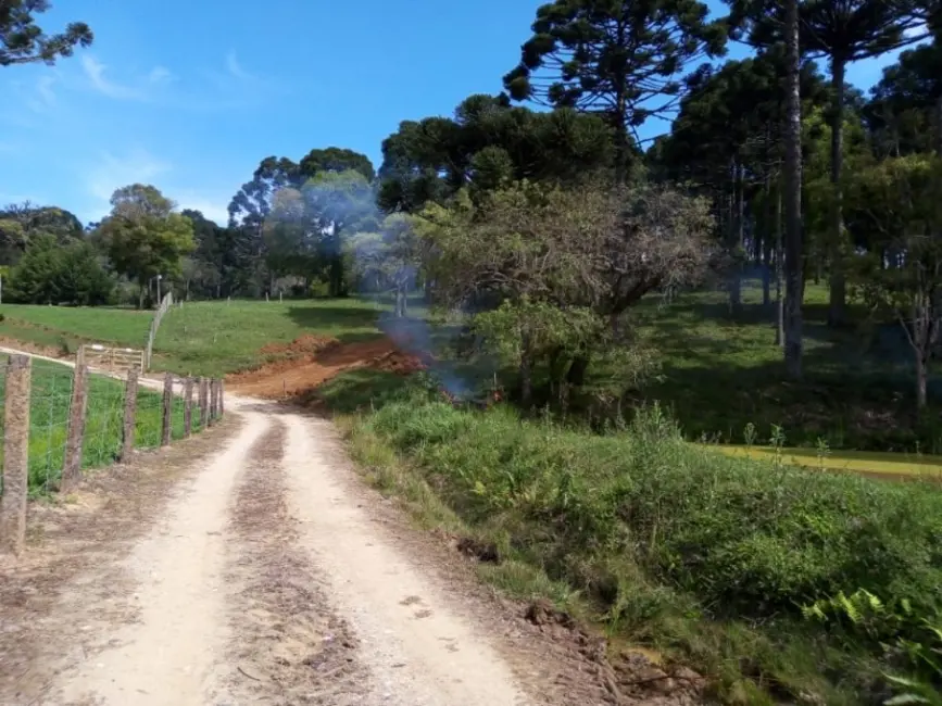 Chácara com 1 quarto à venda, 7000m2 em Contenda - PR - imagem 4 Foto 4 de Chácara com 1 quarto à venda, 7000m2 em Contenda - PR