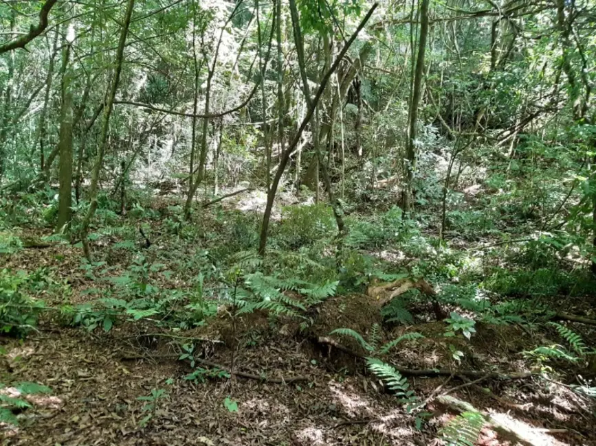 Foto 2 de Chácara com 1 quarto à venda, 7000m2 em Contenda - PR