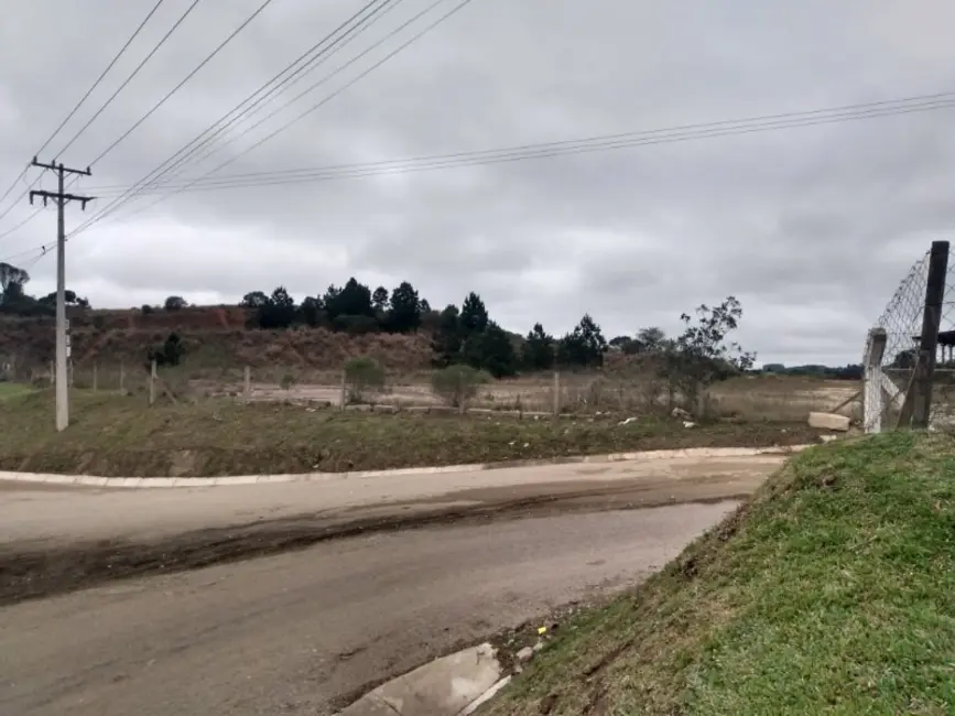 Terreno / Lote à venda, 41000m2 em Estados, Fazenda Rio Grande - PR - imagem 7 Foto 7 de Terreno / Lote à venda, 41000m2 em Estados, Fazenda Rio Grande - PR