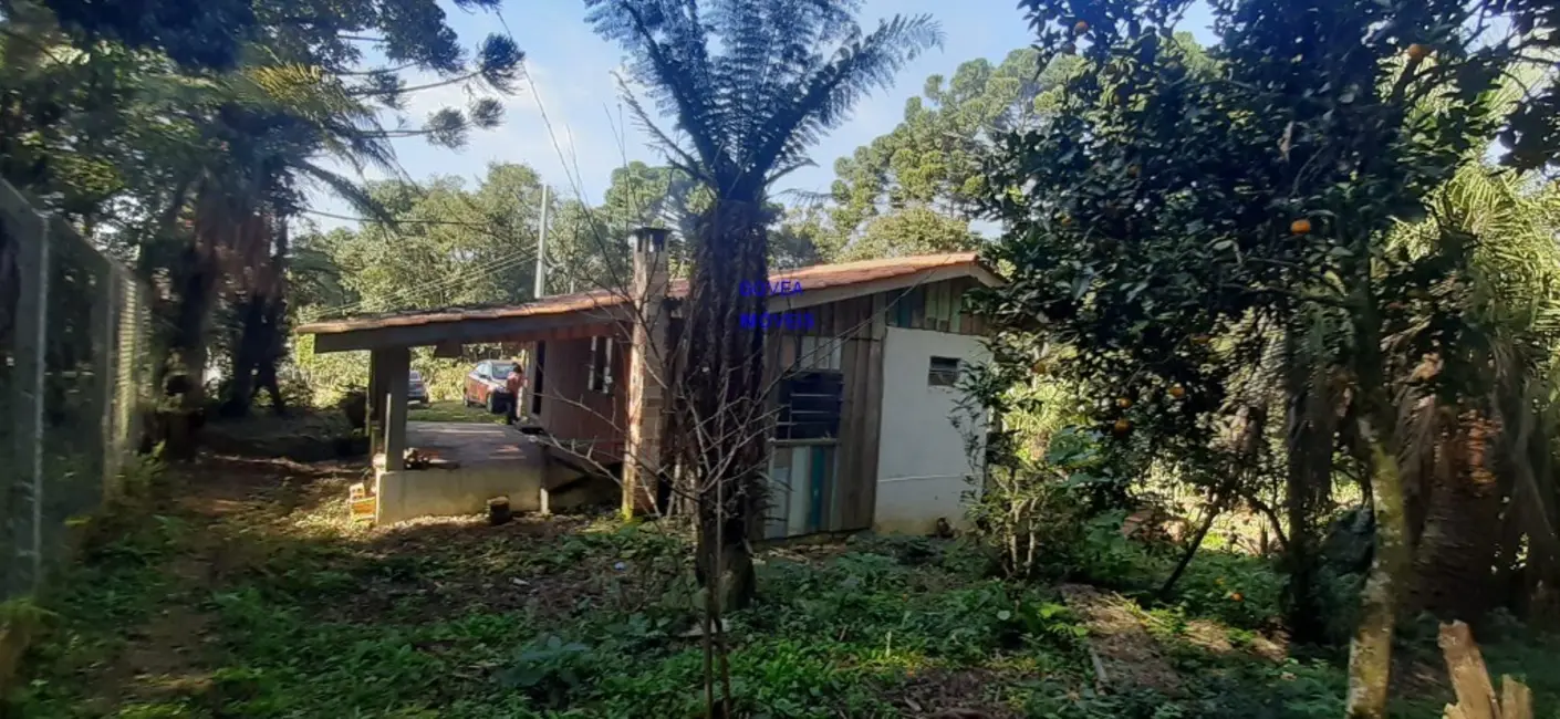 Chácara com 2 quartos à venda, 6000m2 em Contenda - PR - imagem 7 Foto 7 de Chácara com 2 quartos à venda, 6000m2 em Contenda - PR