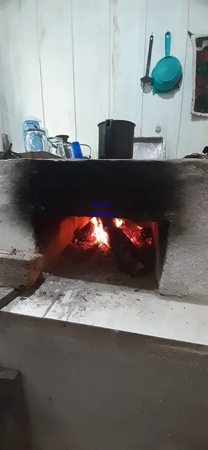 Chácara com 2 quartos à venda, 6000m2 em Contenda - PR - imagem 6 Foto 6 de Chácara com 2 quartos à venda, 6000m2 em Contenda - PR