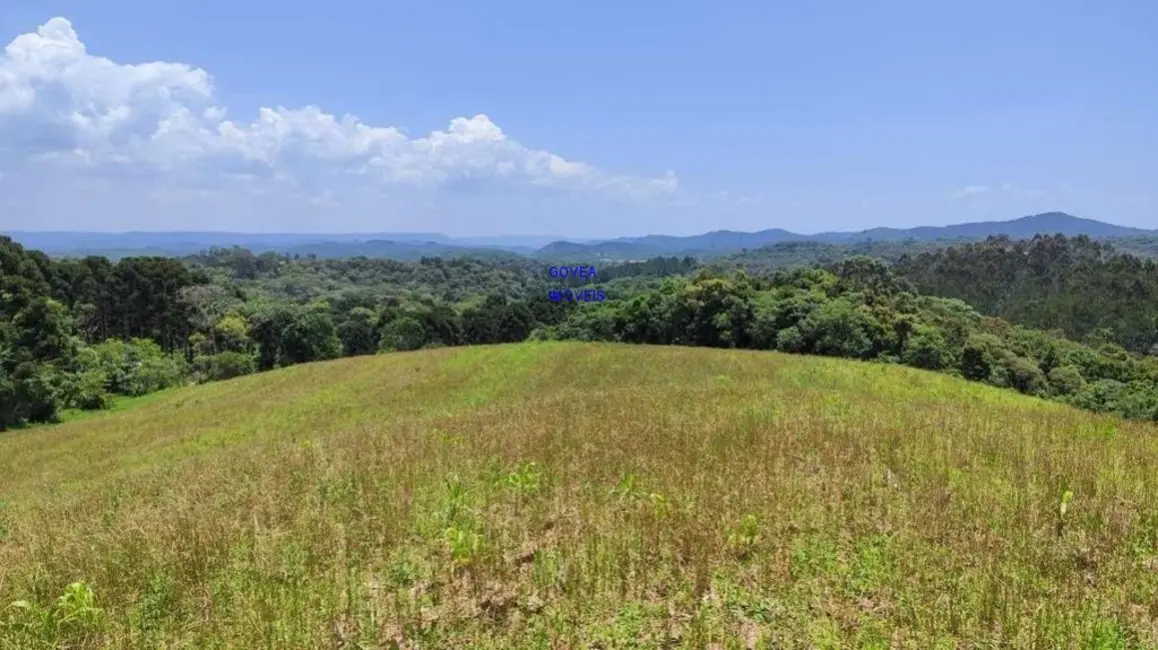 Chácara com 3 quartos à venda, 129000m2 em Itaqui de Cima, Campo Largo - PR - imagem 7 Foto 7 de Chácara com 3 quartos à venda, 129000m2 em Itaqui de Cima, Campo Largo - PR