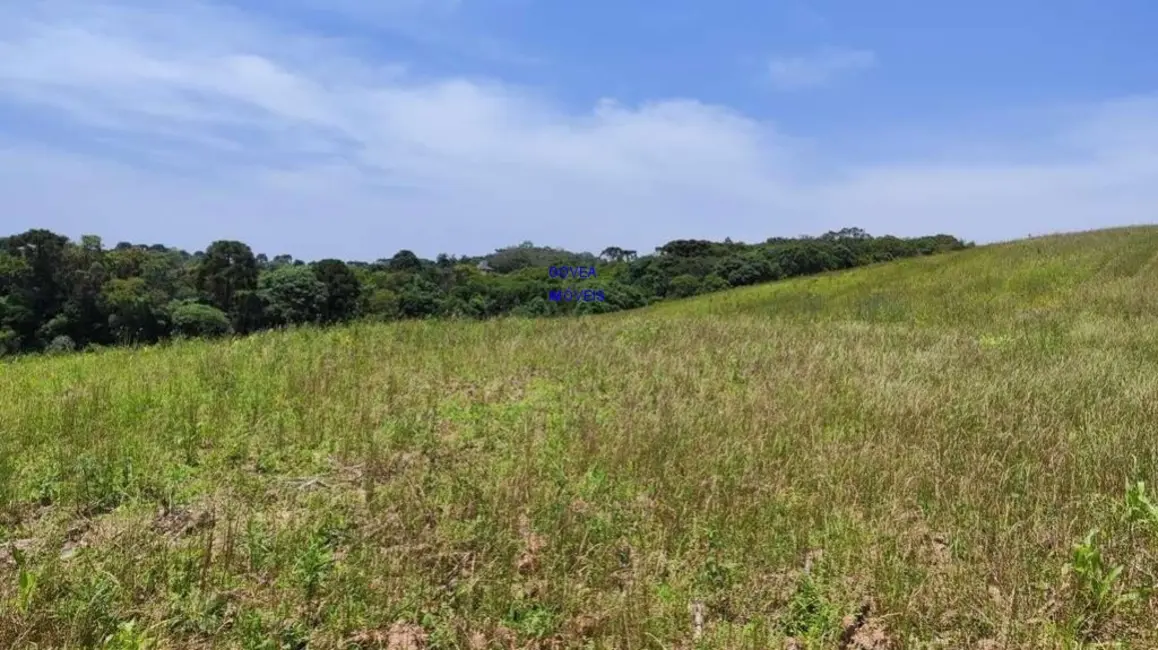 Chácara com 3 quartos à venda, 129000m2 em Itaqui de Cima, Campo Largo - PR - imagem 4 Foto 4 de Chácara com 3 quartos à venda, 129000m2 em Itaqui de Cima, Campo Largo - PR