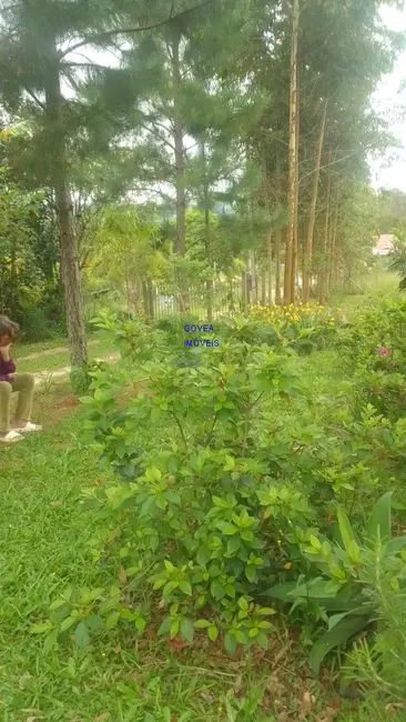 Chácara com 2 quartos à venda, 64m2 em Contenda - PR - imagem 5 Foto 5 de Chácara com 2 quartos à venda, 64m2 em Contenda - PR