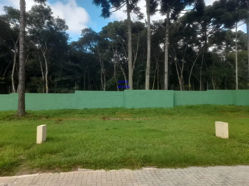 Terreno / Lote à venda, 259m2 em Umbará, Curitiba - PR - imagem 5 Foto 5 de Terreno / Lote à venda, 259m2 em Umbará, Curitiba - PR