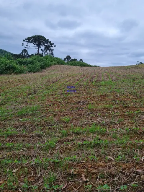 Foto 1 de Sítio / Rancho à venda em Lapa - PR