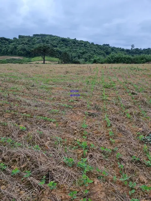 Foto 2 de Sítio / Rancho à venda em Lapa - PR