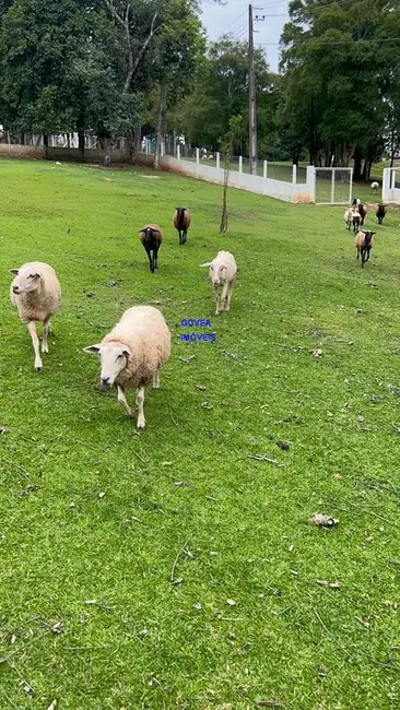 Foto 7 de Chácara com 3 quartos à venda, 89540m2 em Lapa - PR