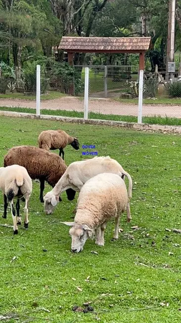 Foto 6 de Chácara com 3 quartos à venda, 89540m2 em Lapa - PR