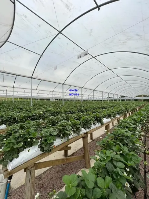 Foto 3 de Chácara com 3 quartos à venda, 89540m2 em Lapa - PR