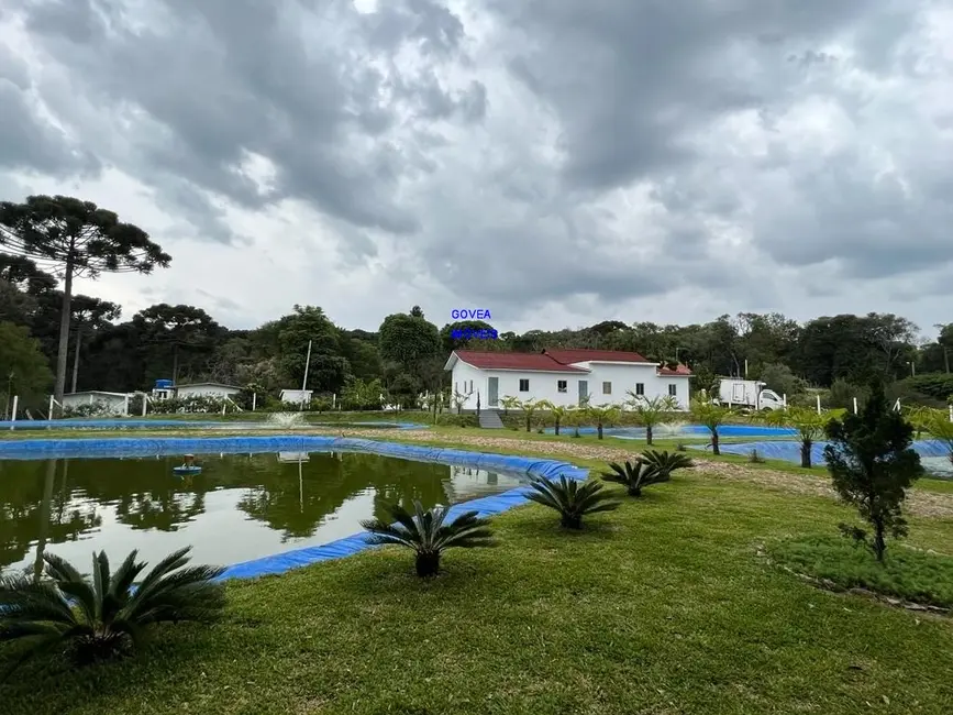 Foto 8 de Chácara com 3 quartos à venda, 89540m2 em Lapa - PR