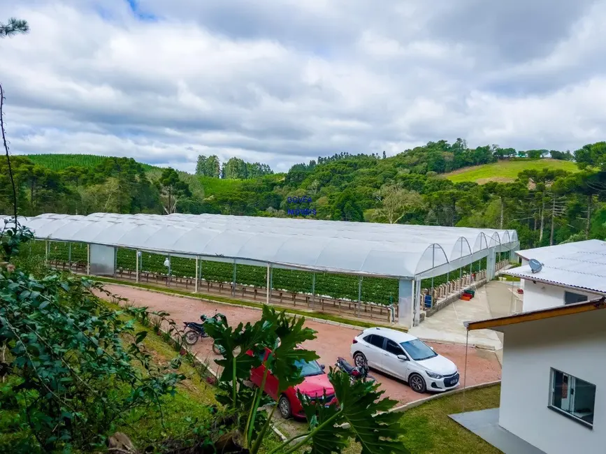 Foto 1 de Chácara com 3 quartos à venda, 89540m2 em Lapa - PR