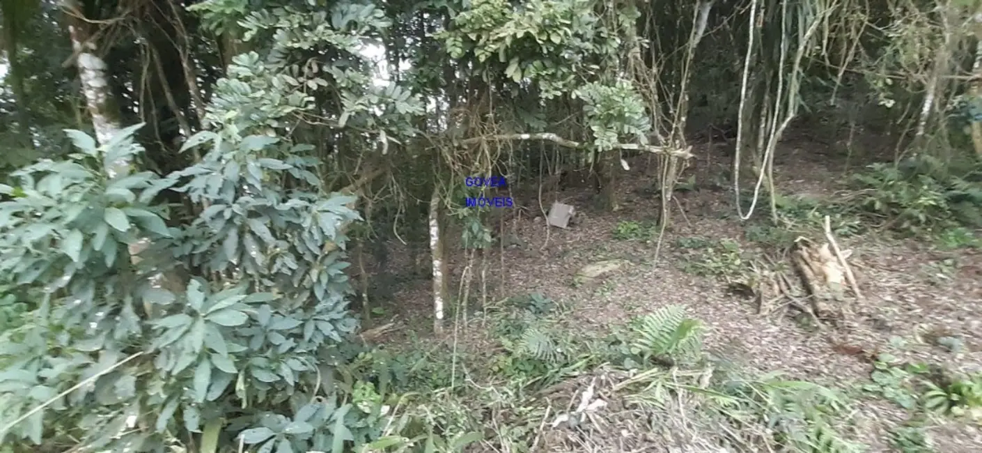 Chácara com 2 quartos à venda, 5800m2 em Contenda - PR - imagem 9 Foto 9 de Chácara com 2 quartos à venda, 5800m2 em Contenda - PR