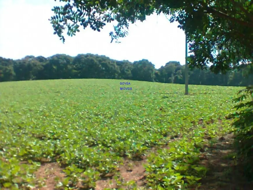Chácara com 1 quarto à venda, 12000m2 em Contenda - PR - imagem 5 Foto 5 de Chácara com 1 quarto à venda, 12000m2 em Contenda - PR