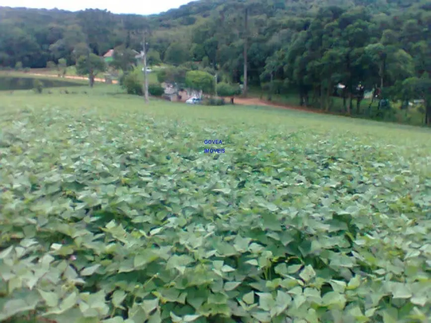 Chácara com 1 quarto à venda, 12000m2 em Contenda - PR - imagem 4 Foto 4 de Chácara com 1 quarto à venda, 12000m2 em Contenda - PR