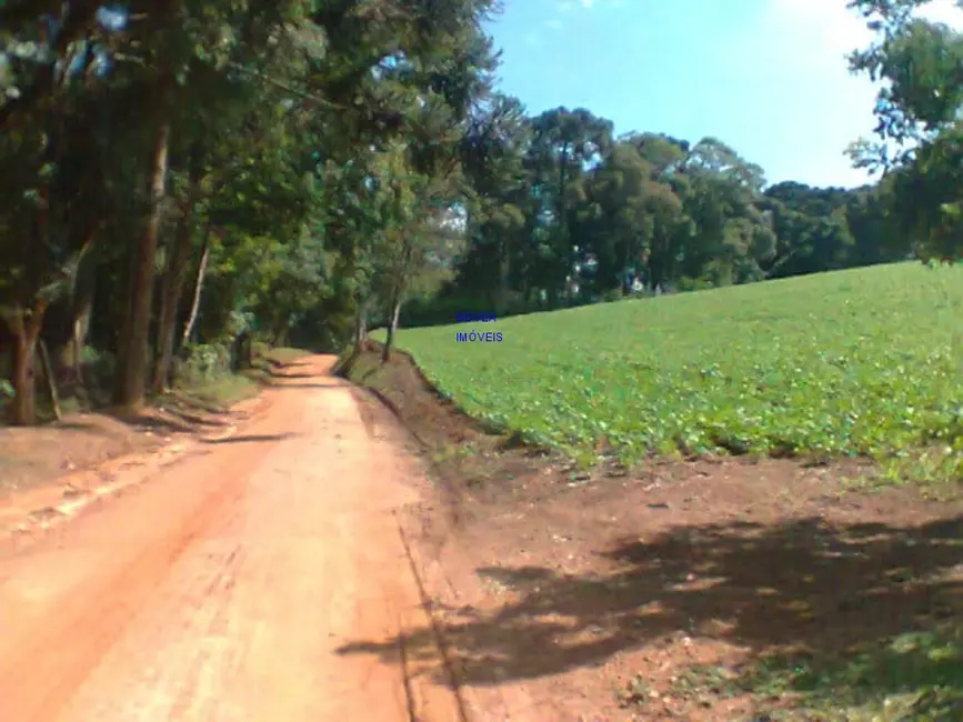 Chácara com 1 quarto à venda, 12000m2 em Contenda - PR - imagem 1 Foto 1 de Chácara com 1 quarto à venda, 12000m2 em Contenda - PR