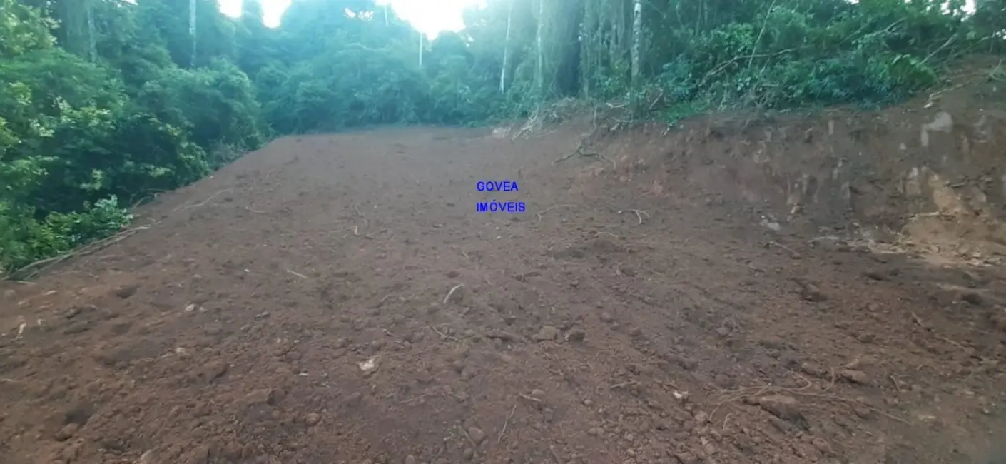 Chácara com 1 quarto à venda, 7000m2 em Contenda - PR - imagem 5 Foto 5 de Chácara com 1 quarto à venda, 7000m2 em Contenda - PR