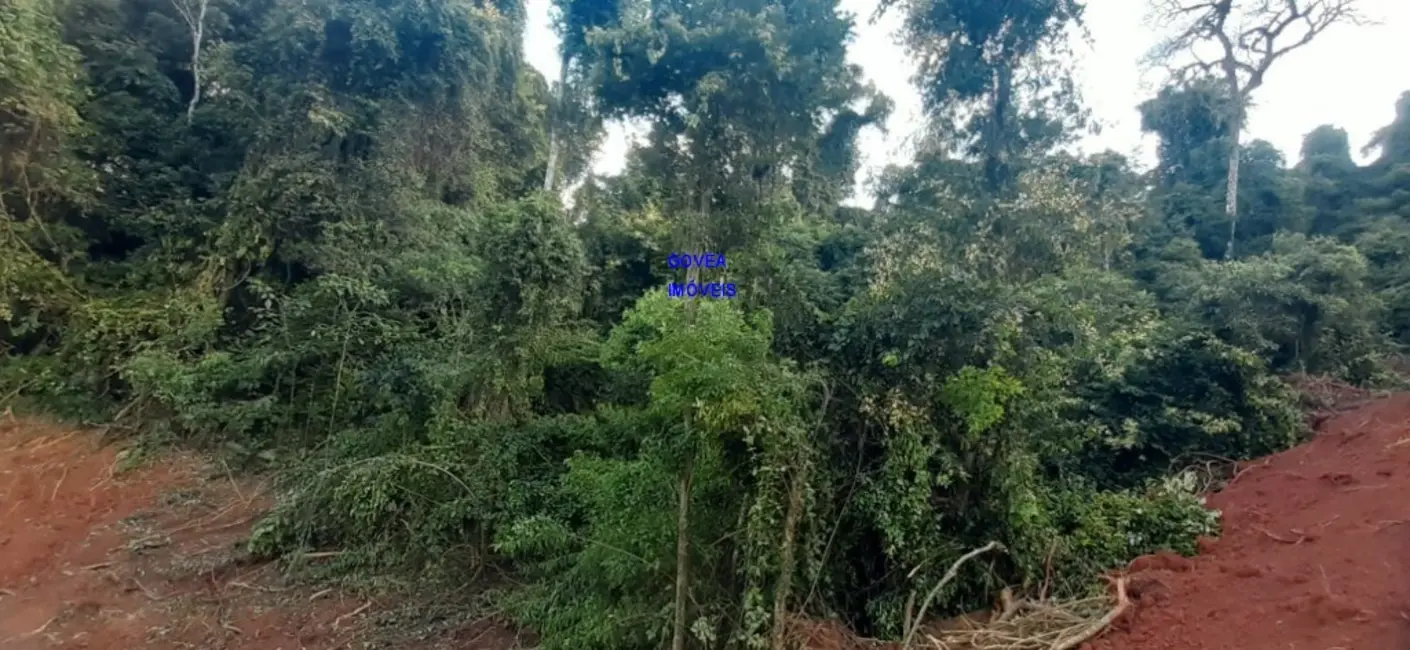 Chácara com 1 quarto à venda, 7000m2 em Contenda - PR - imagem 9 Foto 9 de Chácara com 1 quarto à venda, 7000m2 em Contenda - PR