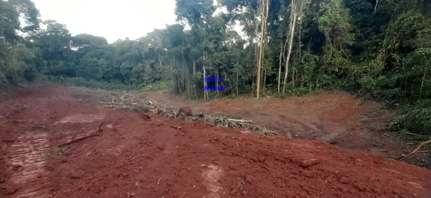 Chácara com 1 quarto à venda, 7000m2 em Contenda - PR - imagem 6 Foto 6 de Chácara com 1 quarto à venda, 7000m2 em Contenda - PR