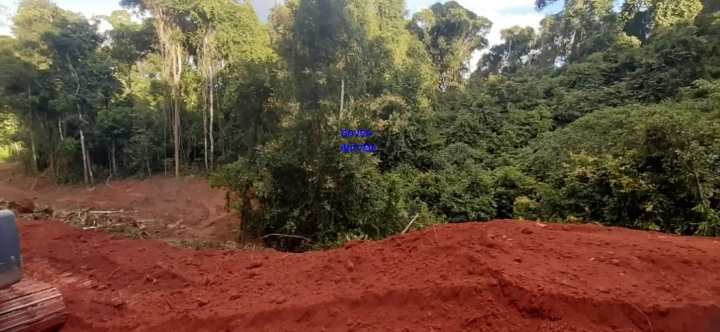 Chácara com 1 quarto à venda, 7000m2 em Contenda - PR - imagem 3 Foto 3 de Chácara com 1 quarto à venda, 7000m2 em Contenda - PR