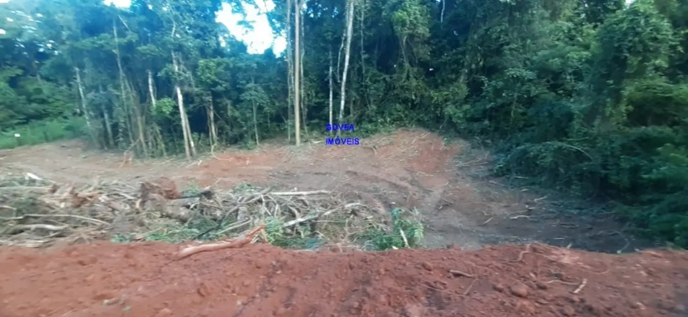 Chácara com 1 quarto à venda, 7000m2 em Contenda - PR - imagem 7 Foto 7 de Chácara com 1 quarto à venda, 7000m2 em Contenda - PR