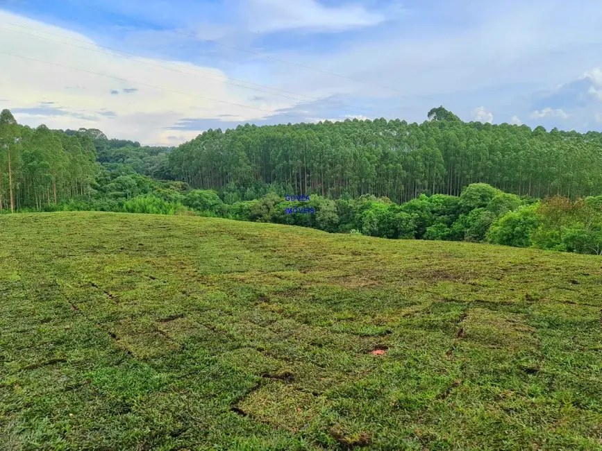 Foto 1 de Chácara com 1 quarto à venda, 5800m2 em Lamenha Pequena, Curitiba - PR