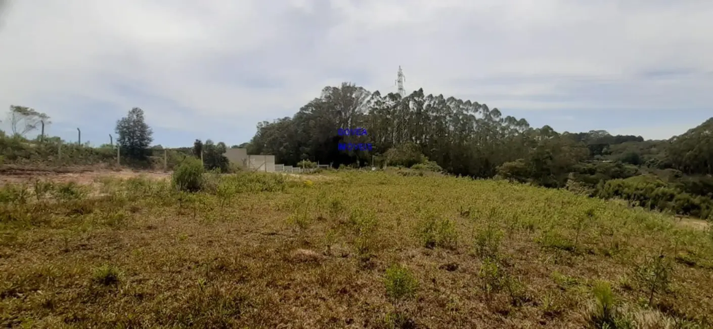 Chácara com 1 quarto à venda, 5800m2 em Lamenha Pequena, Curitiba - PR - imagem 7 Foto 7 de Chácara com 1 quarto à venda, 5800m2 em Lamenha Pequena, Curitiba - PR