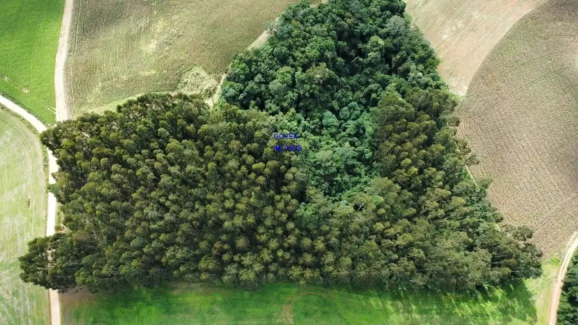 Chácara com 1 quarto à venda em Contenda - PR - imagem 2 Foto 2 de Chácara com 1 quarto à venda em Contenda - PR