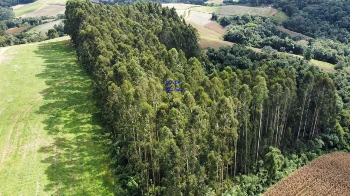 Chácara com 1 quarto à venda em Contenda - PR - imagem 3 Foto 3 de Chácara com 1 quarto à venda em Contenda - PR