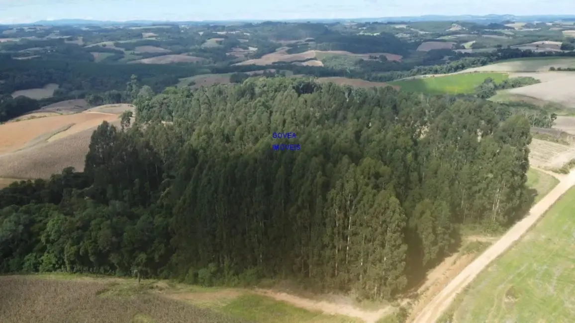 Chácara com 1 quarto à venda em Contenda - PR - imagem 1 Foto 1 de Chácara com 1 quarto à venda em Contenda - PR