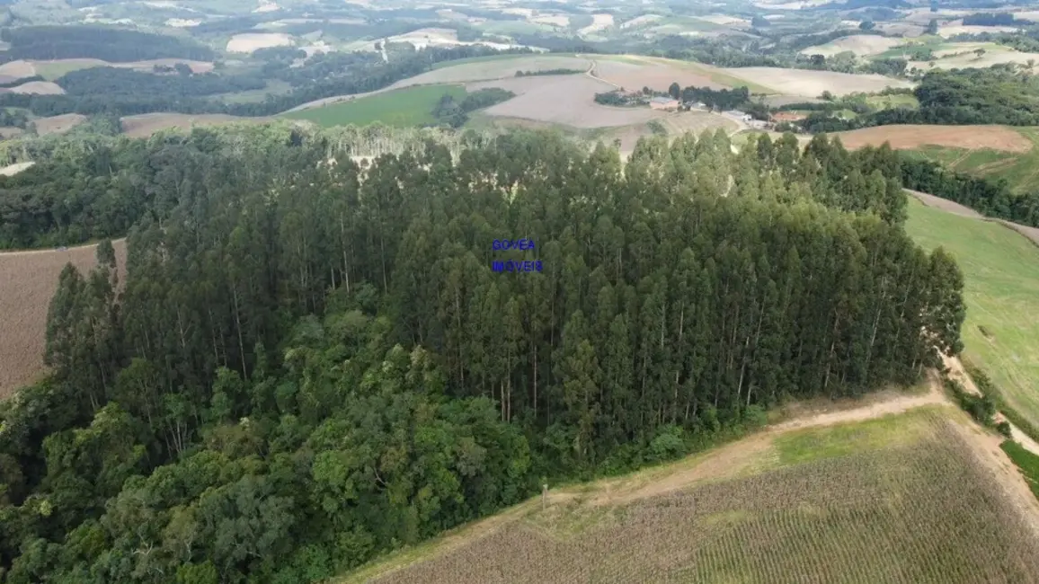 Chácara com 1 quarto à venda em Contenda - PR - imagem 5 Foto 5 de Chácara com 1 quarto à venda em Contenda - PR