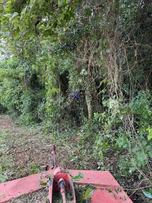 Chácara com 1 quarto à venda, 5800m2 em Contenda - PR - imagem 6 Foto 6 de Chácara com 1 quarto à venda, 5800m2 em Contenda - PR