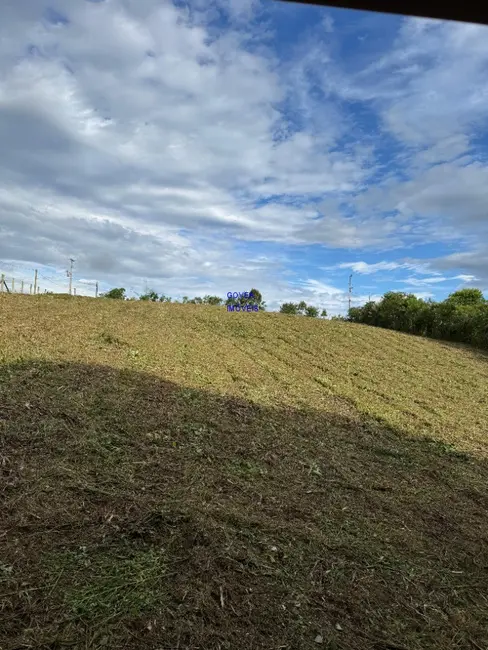 Chácara com 1 quarto à venda, 5800m2 em Contenda - PR - imagem 7 Foto 7 de Chácara com 1 quarto à venda, 5800m2 em Contenda - PR