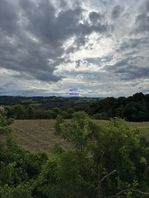 Chácara com 1 quarto à venda, 5800m2 em Contenda - PR - imagem 4 Foto 4 de Chácara com 1 quarto à venda, 5800m2 em Contenda - PR