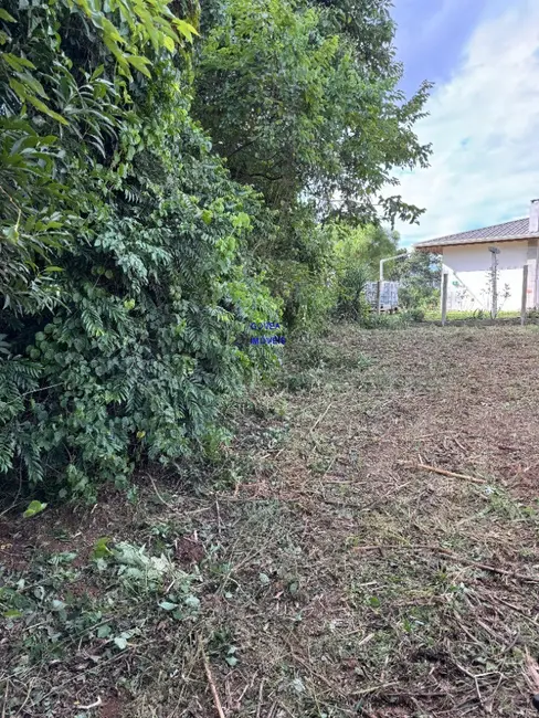 Chácara com 1 quarto à venda, 5800m2 em Contenda - PR - imagem 5 Foto 5 de Chácara com 1 quarto à venda, 5800m2 em Contenda - PR