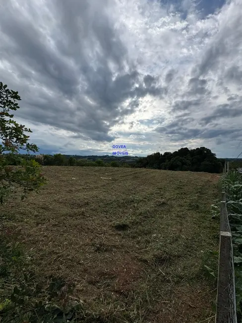 Chácara com 1 quarto à venda, 5800m2 em Contenda - PR - imagem 2 Foto 2 de Chácara com 1 quarto à venda, 5800m2 em Contenda - PR
